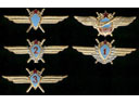 # aw120 Soviet Air Force pilot wings